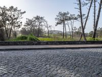 Coastal Landscape of Porto, Portugal