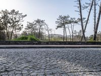 Coastal Landscape of Porto, Portugal