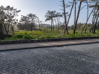 Coastal Landscape of Porto, Portugal