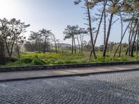 Coastal Landscape of Porto, Portugal