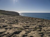 Coastal Landscape in Portugal: Beach and Sunshine