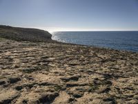 Coastal Landscape in Portugal: Beach and Sunshine