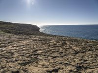 Coastal Landscape in Portugal: Beach and Sunshine