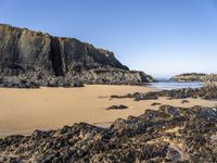 Coastal Landscape in Portugal: Beach and Rolling Waves