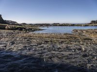 Coastal Landscape in Portugal with Clear Sky and Ocean