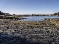 Coastal Landscape in Portugal with Clear Sky and Ocean