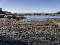 Coastal Landscape in Portugal with a Clear Sky and Ocean