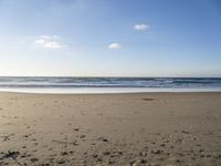 Coastal Landscape in Portugal: Golden Sand and Clear Azure Waters