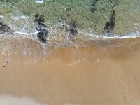 an aerial view of the shore with waves crashing and swimmers walking in the water below