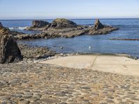 Coastal Landscape in Portugal: Embracing the Natural Environment