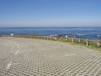 a brick walkway next to the ocean with a seagull on top of it