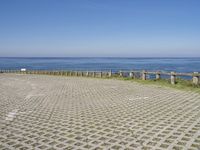 a brick walkway next to the ocean with a seagull on top of it