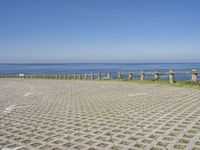 a brick walkway next to the ocean with a seagull on top of it