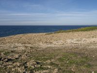 Coastal Landscape in Portugal: Sand Beach and Open Space