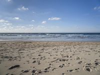 Coastal Landscape in Portugal: Sand and Water