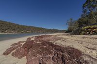 there's some very red sand at the beach area of this lake with many small trees