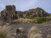 Coastal Landscape with Rocky Outcrop