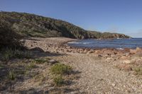 a rocky shore has several rocks and grass growing in it and a blue sky above