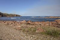 a rocky shore has several rocks and grass growing in it and a blue sky above