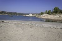 an area of rocky ground with some trees near the water, and a body of water in the middle