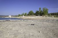 an area of rocky ground with some trees near the water, and a body of water in the middle