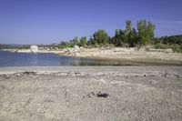 an area of rocky ground with some trees near the water, and a body of water in the middle