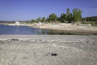 an area of rocky ground with some trees near the water, and a body of water in the middle