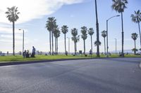 a long street lined with palm trees and people sitting on benches near the edge of the road