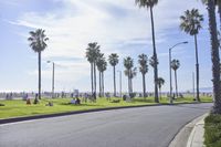 a long street lined with palm trees and people sitting on benches near the edge of the road