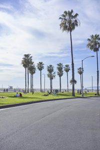 a long street lined with palm trees and people sitting on benches near the edge of the road