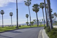 a long street lined with palm trees and people sitting on benches near the edge of the road