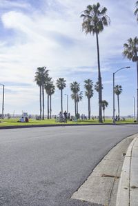 a long street lined with palm trees and people sitting on benches near the edge of the road