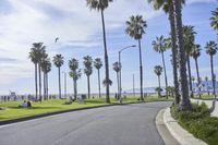 a long street lined with palm trees and people sitting on benches near the edge of the road