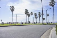 a long street lined with palm trees and people sitting on benches near the edge of the road