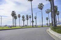 a long street lined with palm trees and people sitting on benches near the edge of the road