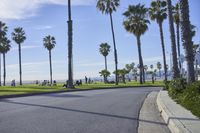 a long street lined with palm trees and people sitting on benches near the edge of the road