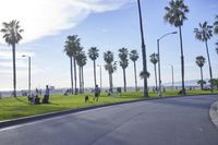 a long street lined with palm trees and people sitting on benches near the edge of the road