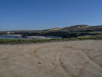 sand beach with sand dunes and green vegetation under a blue sky with two birds flying