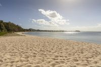 Coastal Landscape: Sand, Water, and the Ocean