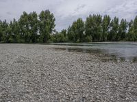 Scenic Coastal Landscape with Sand, Water, and Vegetation