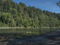 a couple of people walking along a river with trees in the background and water near by