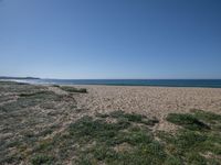 the ocean shore is next to an open sandy beach with green grass and sand on the foreground