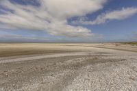 Coastal Landscape with Sandy Beach and Open Space