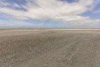 Coastal Landscape with Sandy Beach and Open Space