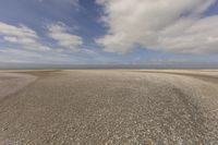 Coastal Landscape with Sandy Beach and Open Space