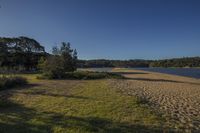 the sand is covered with a lot of grass by a river as a beach sits alongside it