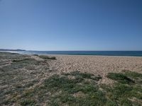 a very wide view of the beach and the ocean from some sand and grass on the shore