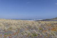 Coastal Landscape with Sandy Beaches and Open Space 001