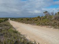 Coastal Landscape of Sapphire Coast, NSW, Australia