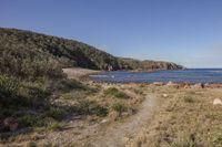 a dirt path leading to a secluded beach, and to the water on the far side